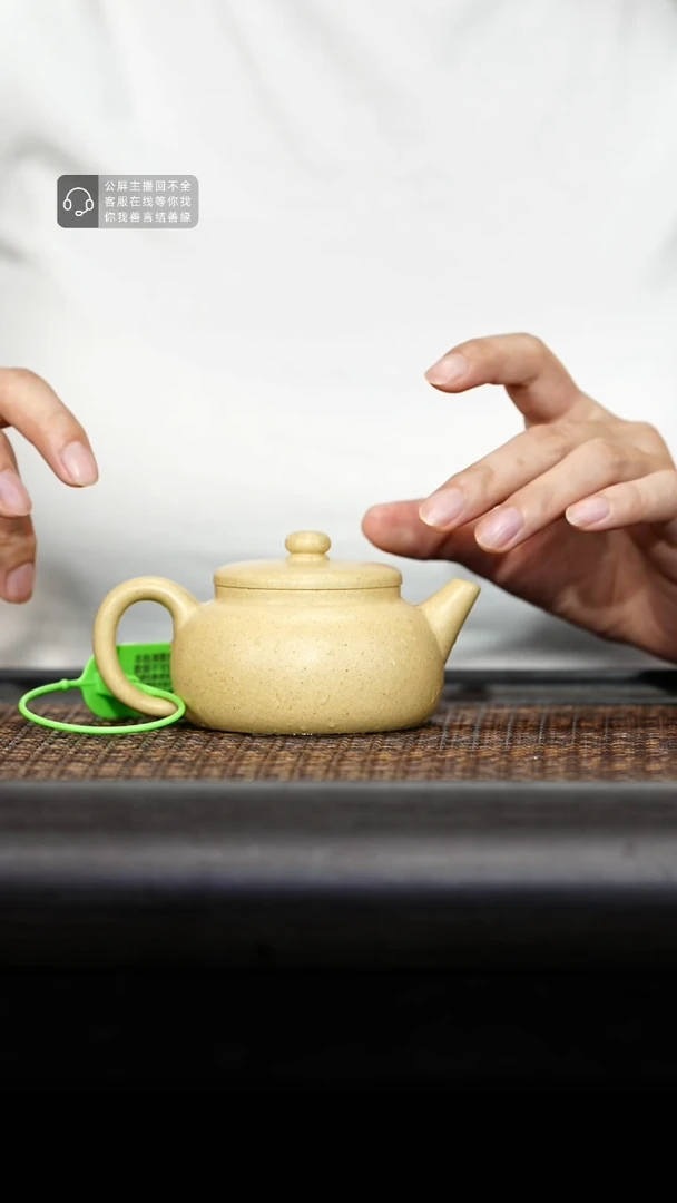 茶壶紫砂紫砂茶壶双园