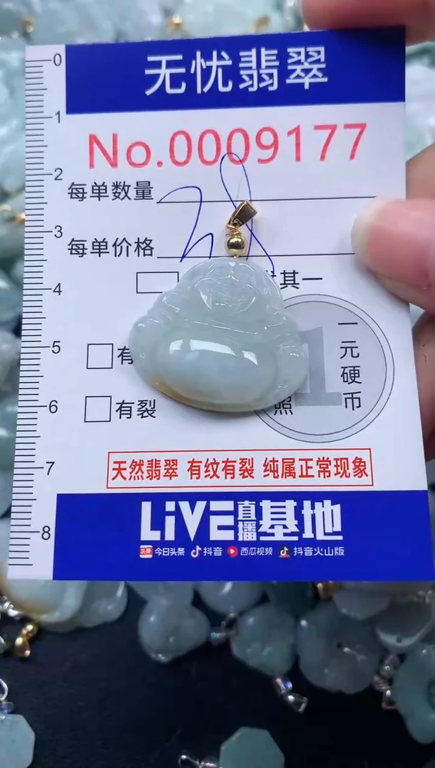 颈饰未镶嵌翡翠9177