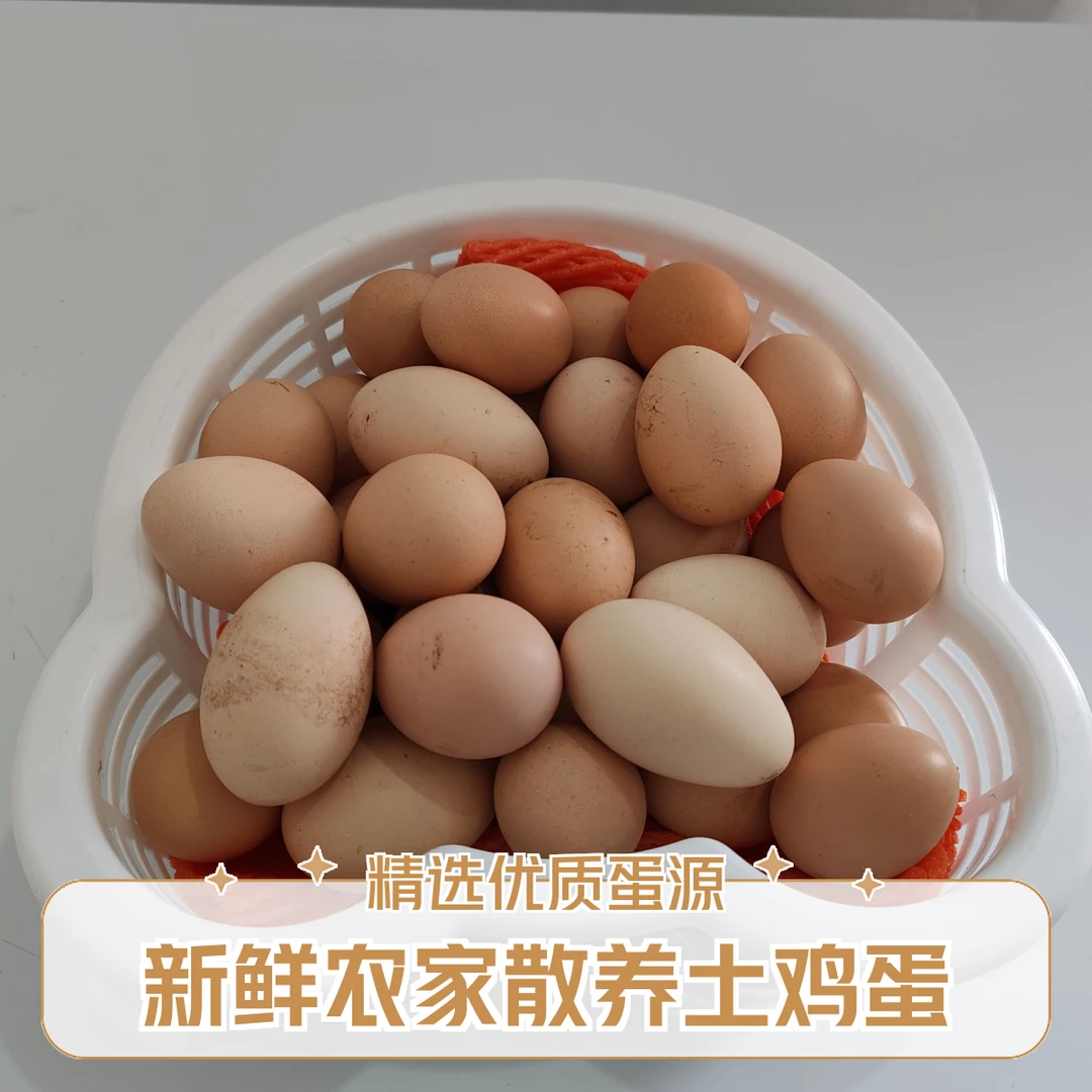 正宗农村老表自家散养土鸡蛋农家土鸡蛋特大号