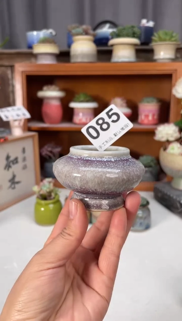 瓷片085小芳直播编号