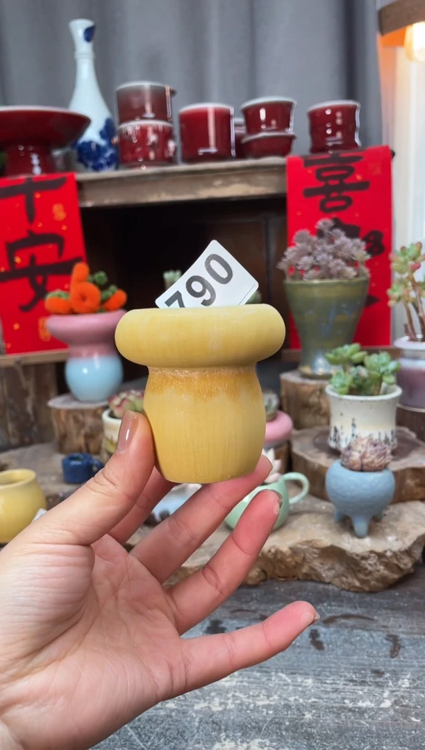 【闪购商品】摆件790微瑕知木小芳花盆