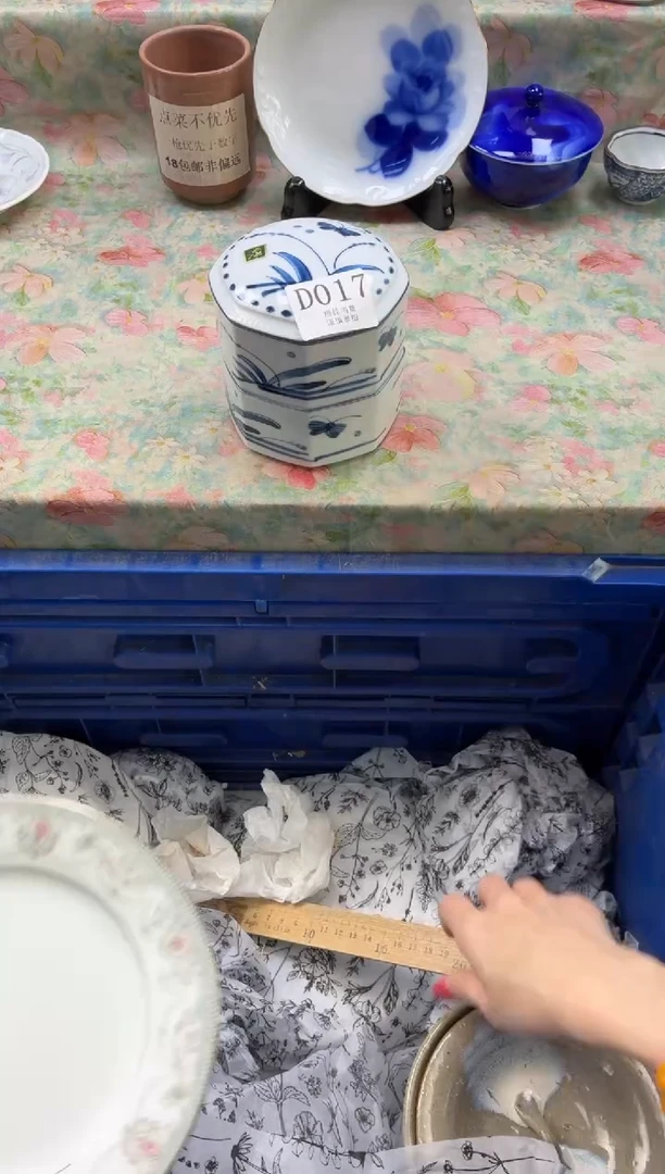 瓷片鱼       D017