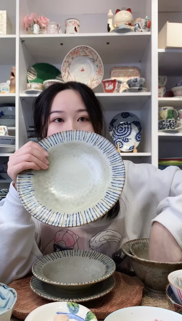 陶瓷美浓烧复古松叶十草大盘21cm