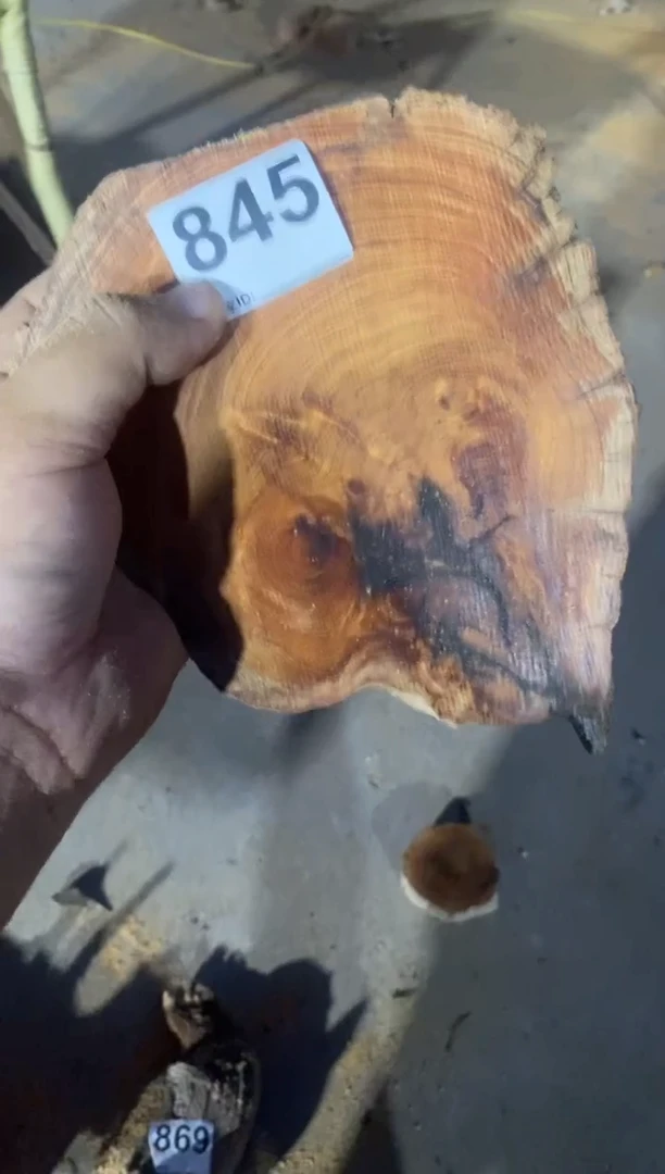 柏木（崖柏）想*太行崖柏切片一块（津诚林）