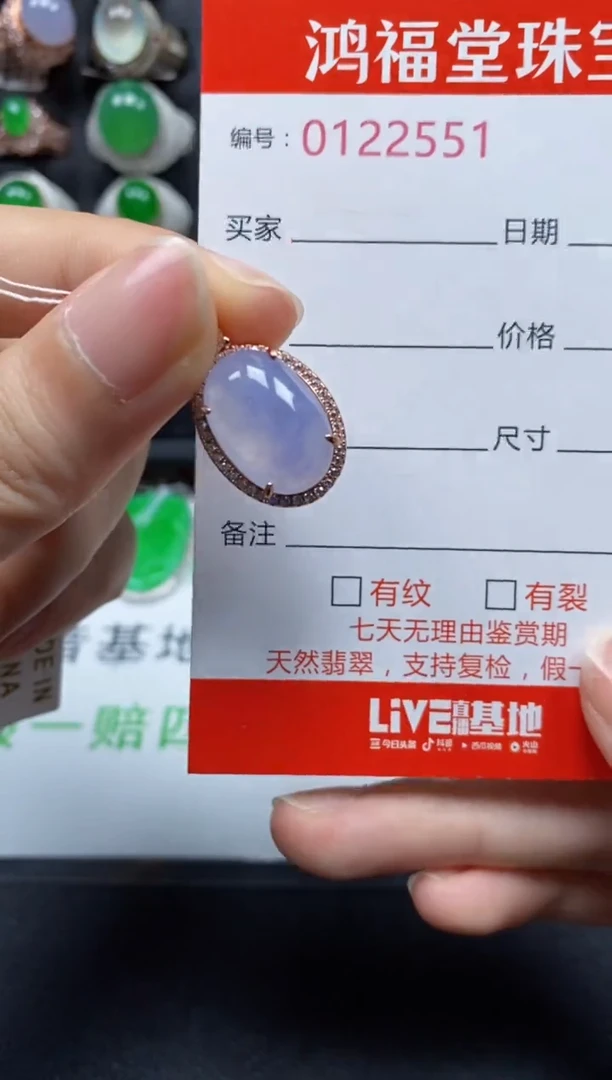 颈饰银S925镶嵌翡翠2551