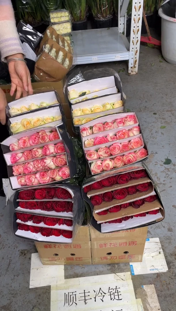 高原红20枝+艾沙20枝+香槟20枝