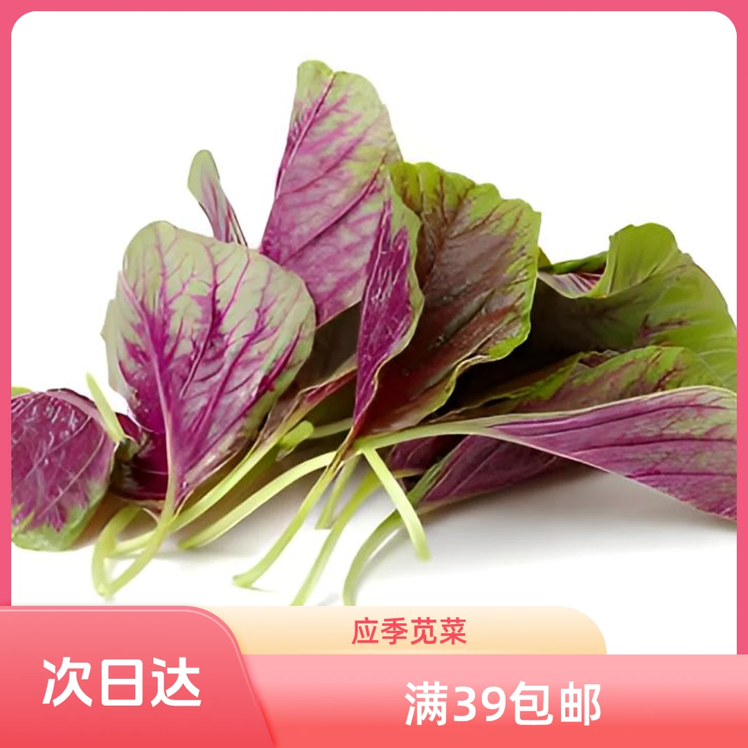 苋菜400g/件苋菜新鲜