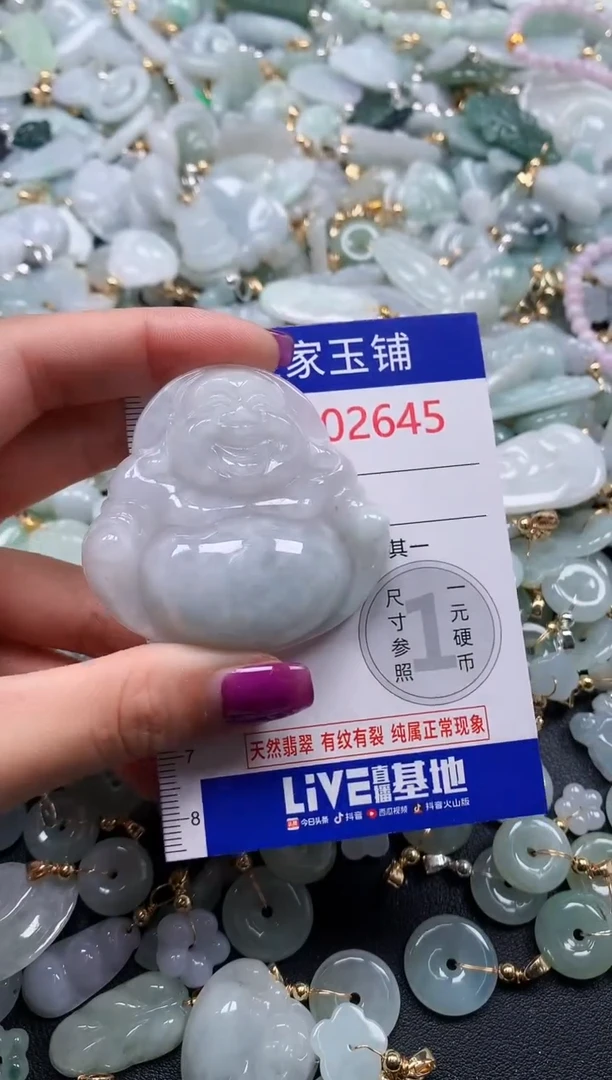 颈饰未镶嵌翡翠2645