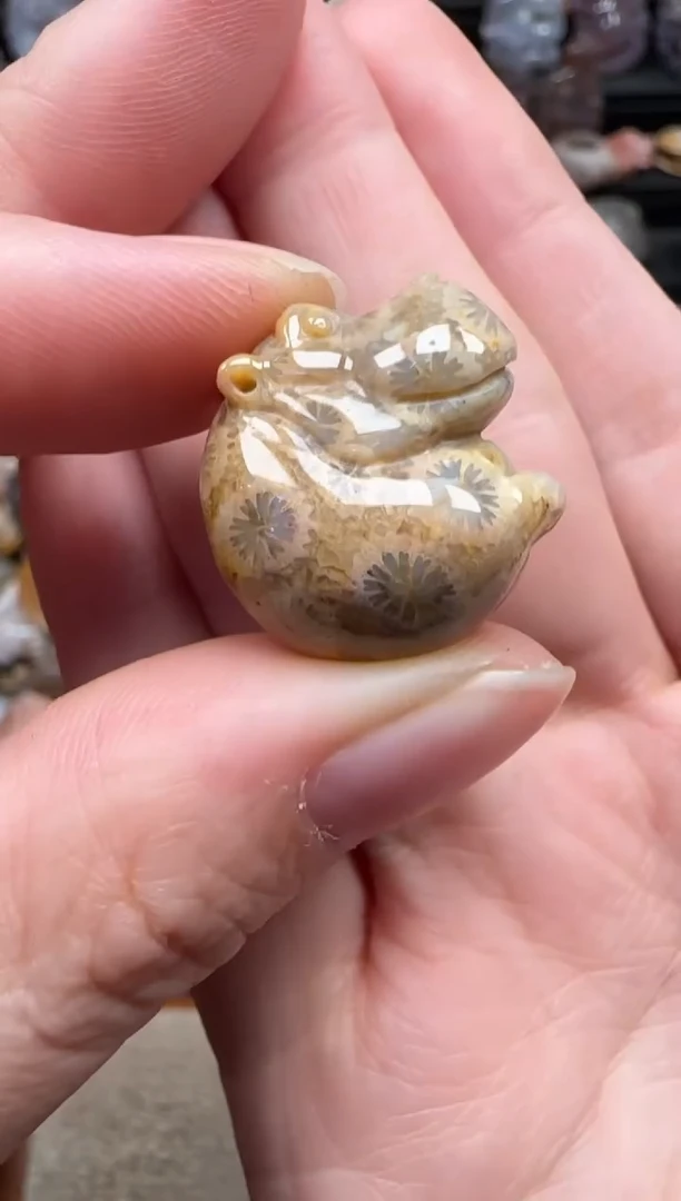 颈饰未镶嵌硅化珊瑚（珊瑚玉）771