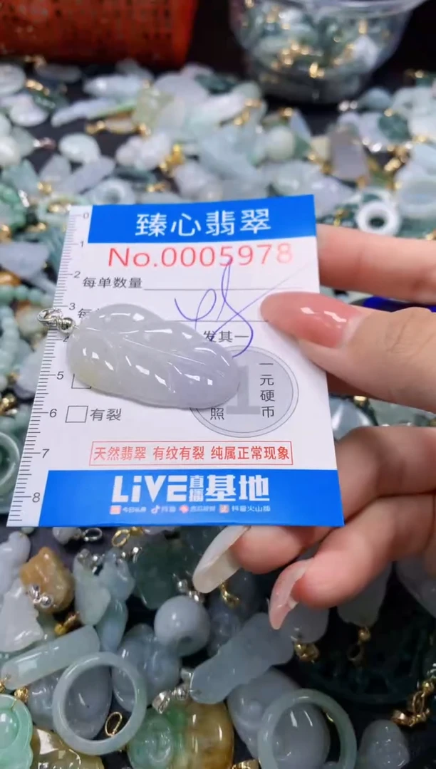 翡翠未镶嵌颈饰5978