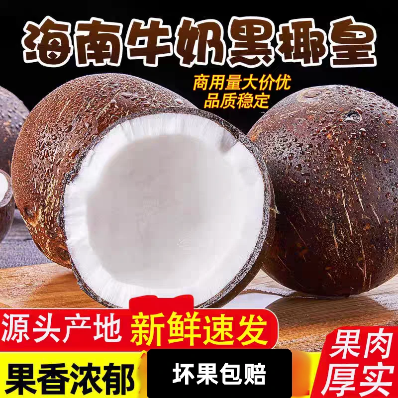 海南椰皇新鲜老椰子去毛抛光清补凉天然香甜椰子炖汤椰子鸡椰子碗