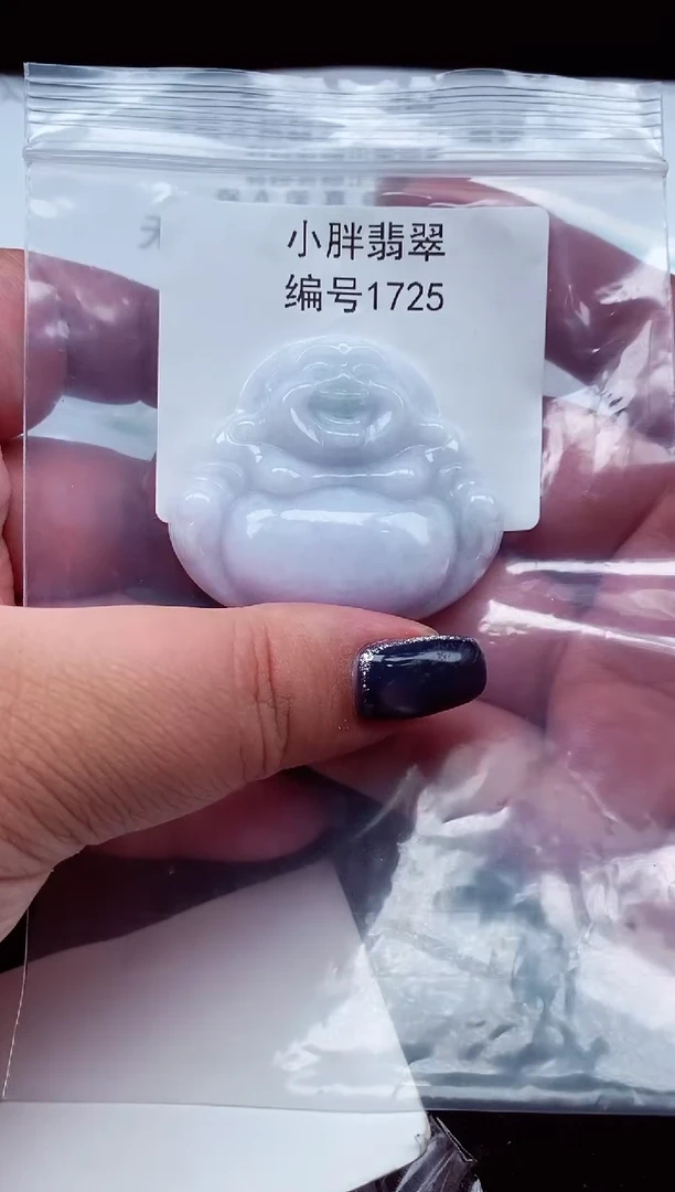 颈饰未镶嵌翡翠缅甸天然A货翡翠1725