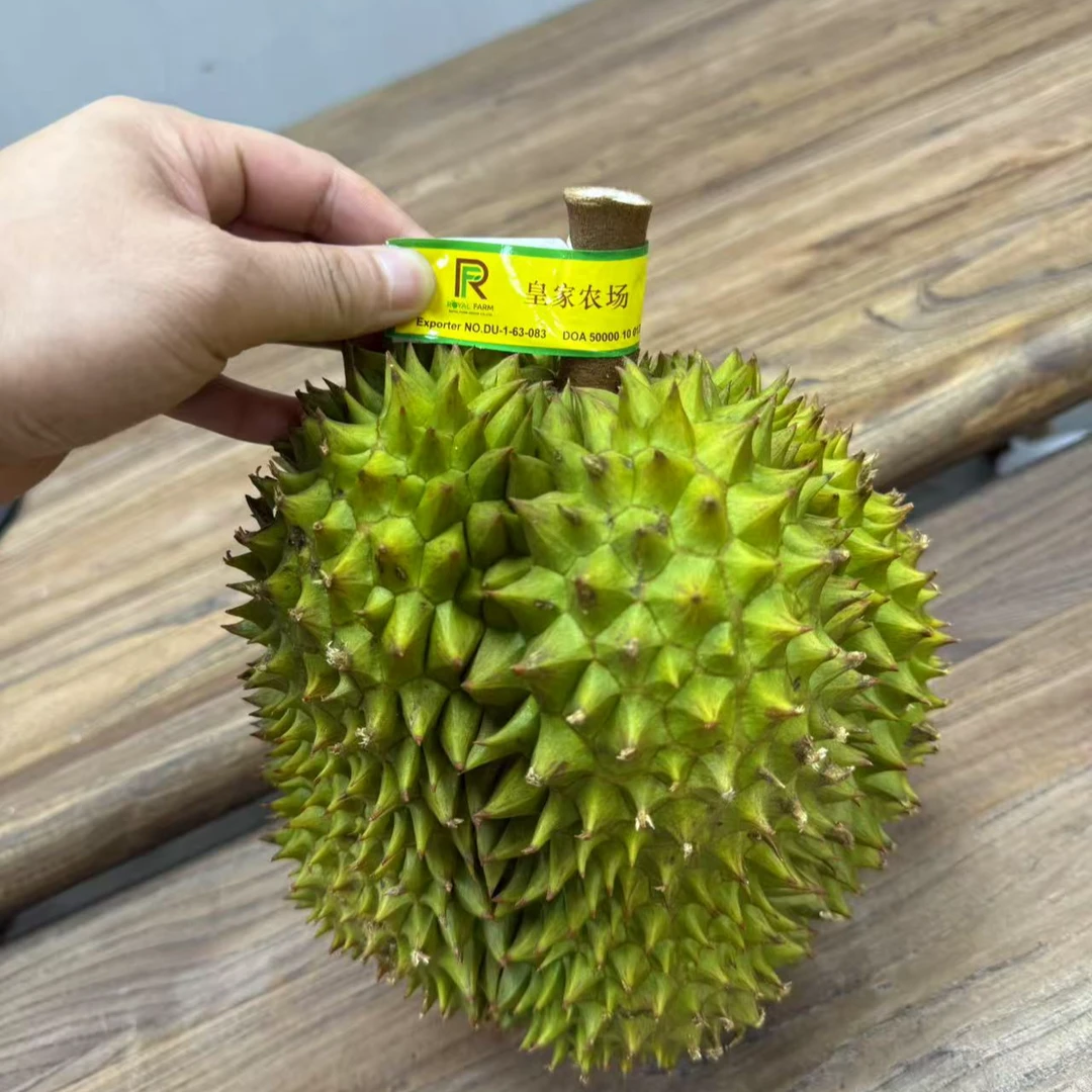 （皇家农场）泰国金枕A果