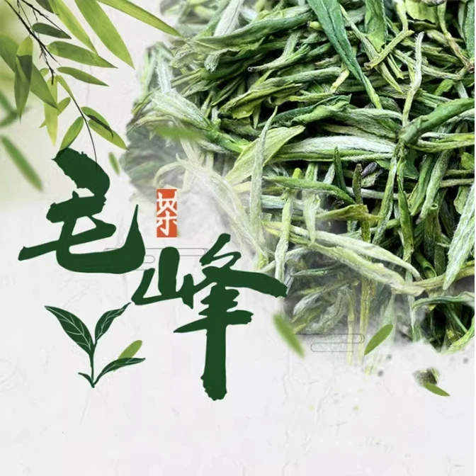【福建直发】绿茶毛峰100克*1罐