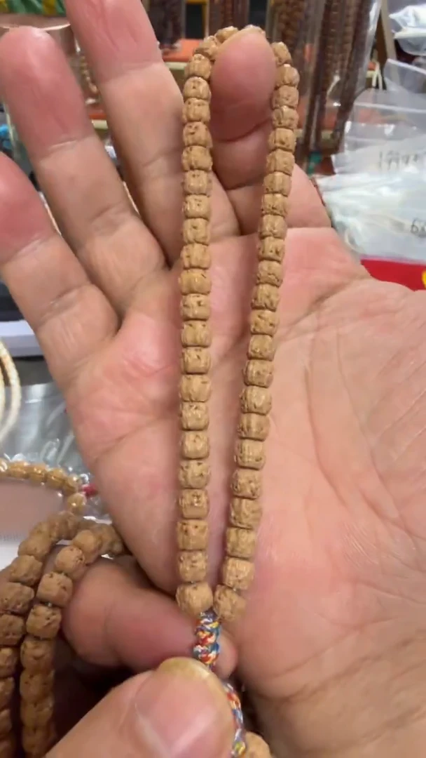 手串金刚菩提49.8多样性发一