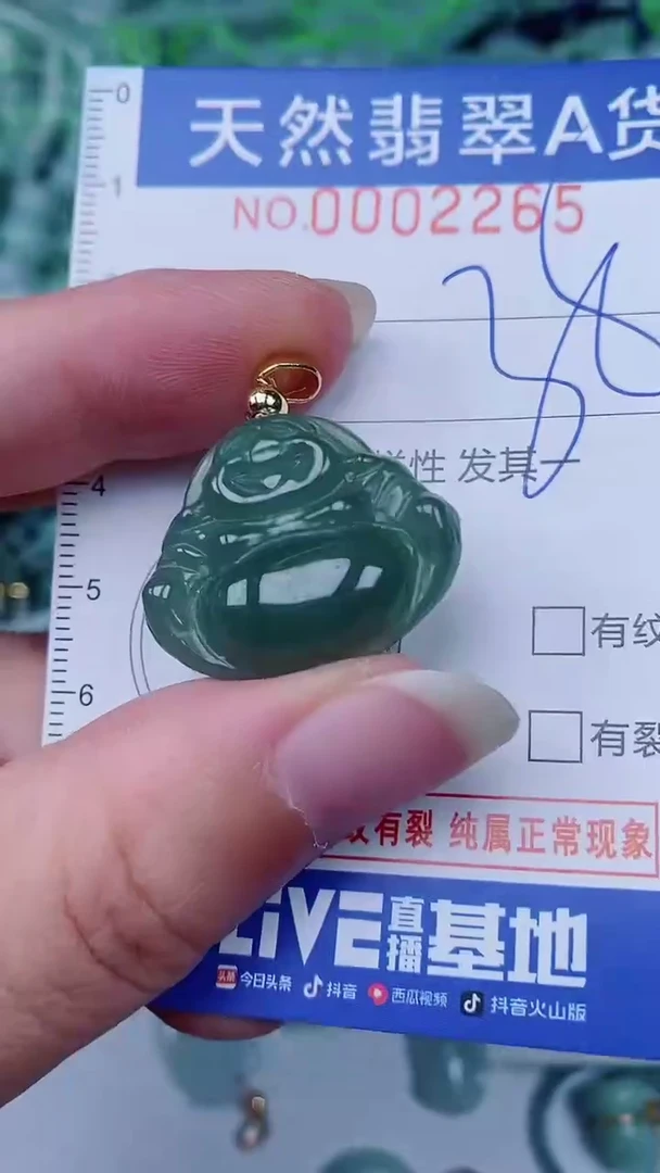 翡翠未镶嵌颈饰00002265