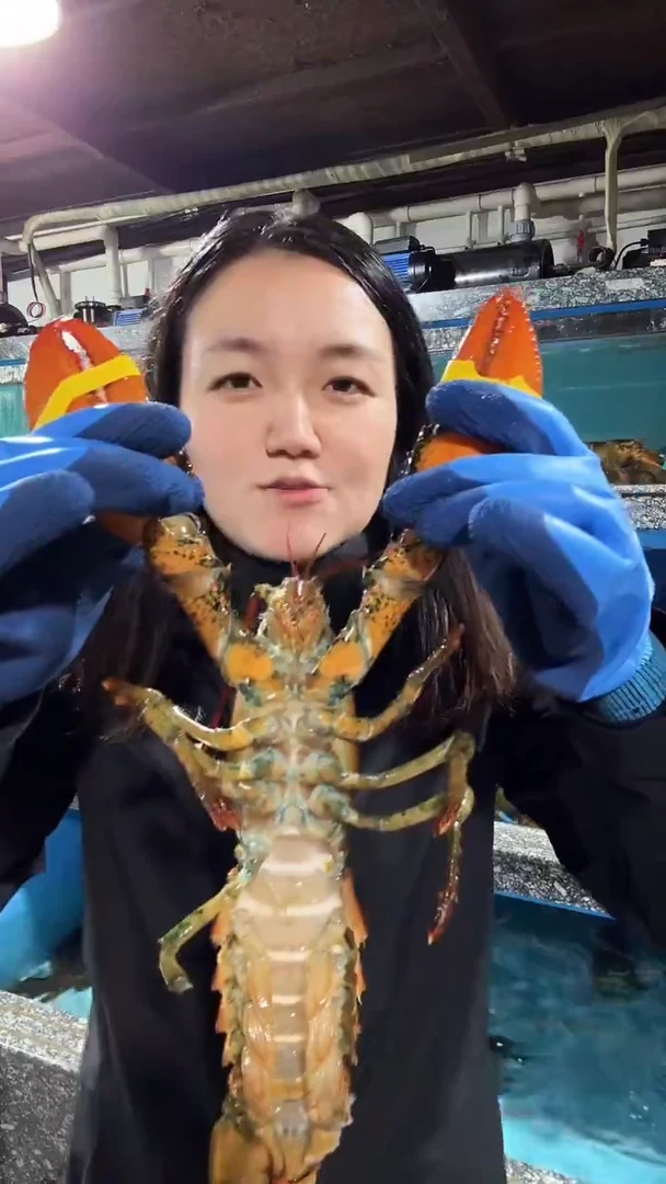 中国大陆直播间专属