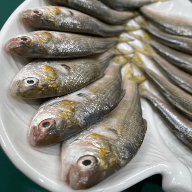 湛江新鲜小黄鱼，1斤（4~6条）4斤装