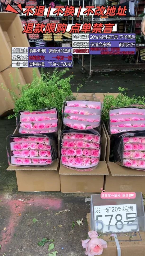 578号♥含20%耗损发一箱