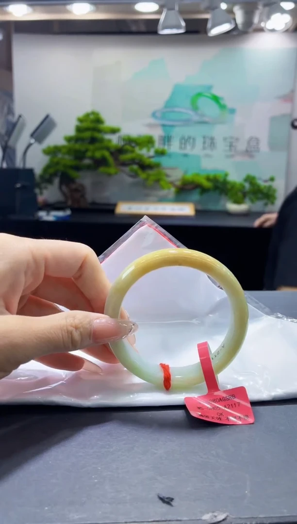 未镶嵌手镯翡翠7