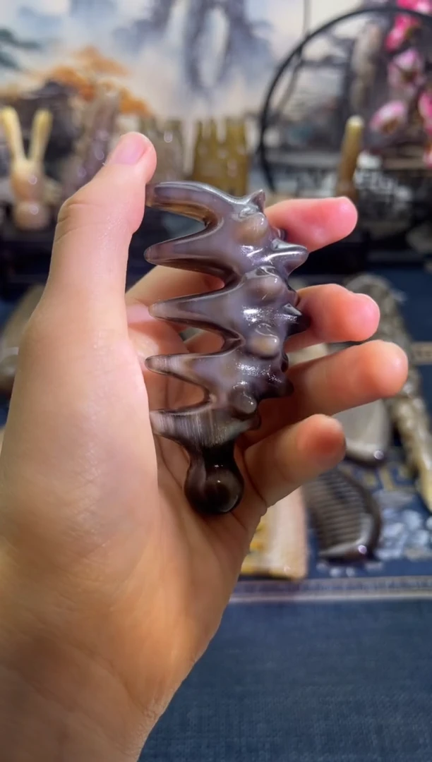 云南老白水黑金刚海参刺猬