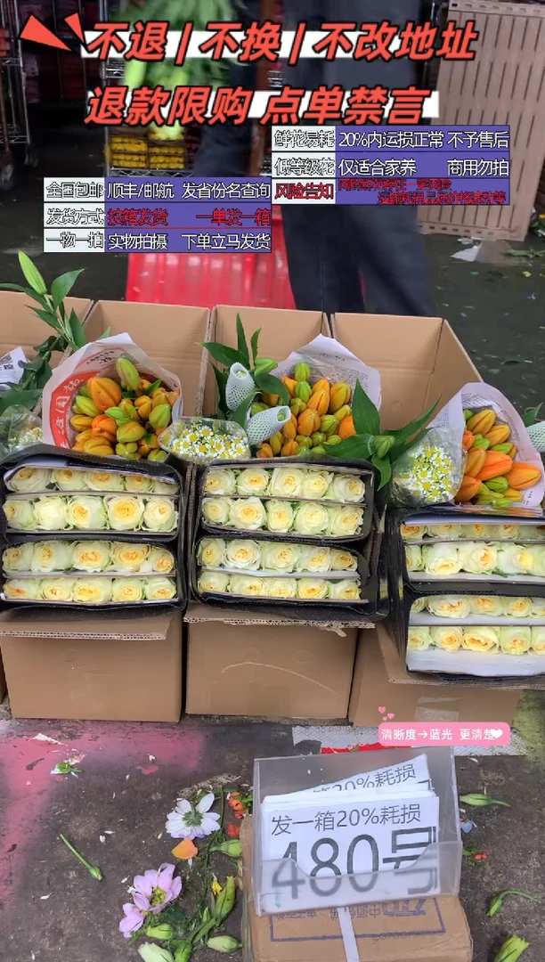 480号♥含20%耗损发一箱