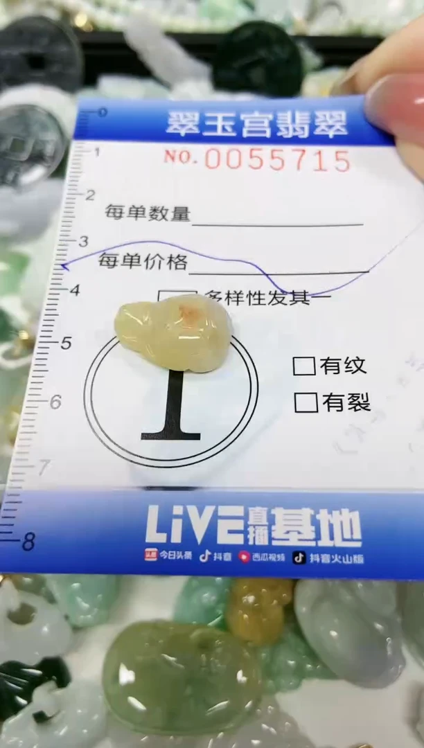 【闪购商品】翡翠颈饰未镶嵌闪购0055715