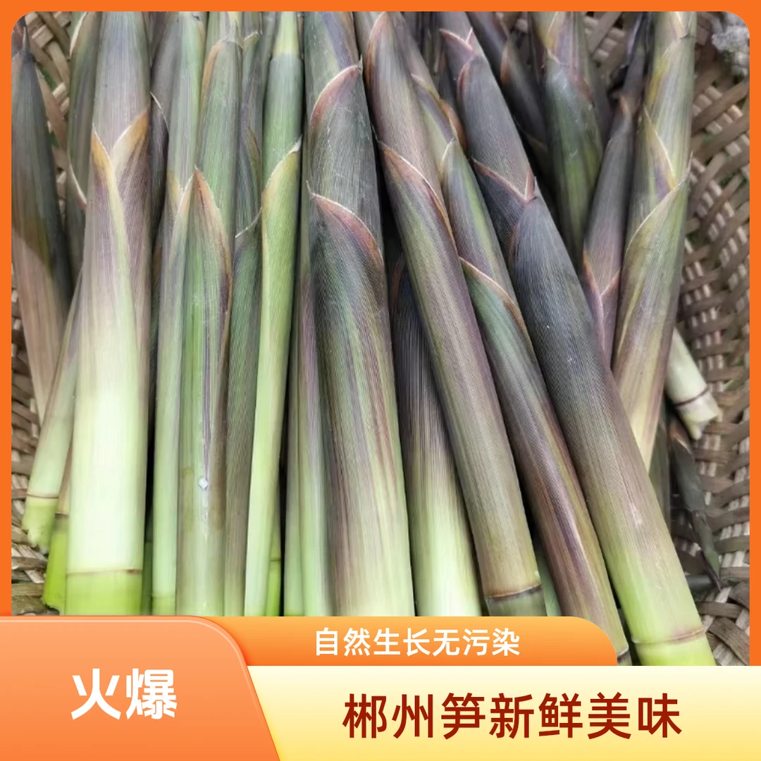 【顺丰包邮】湖南江西野生水竹笋新鲜小笋带壳早笋