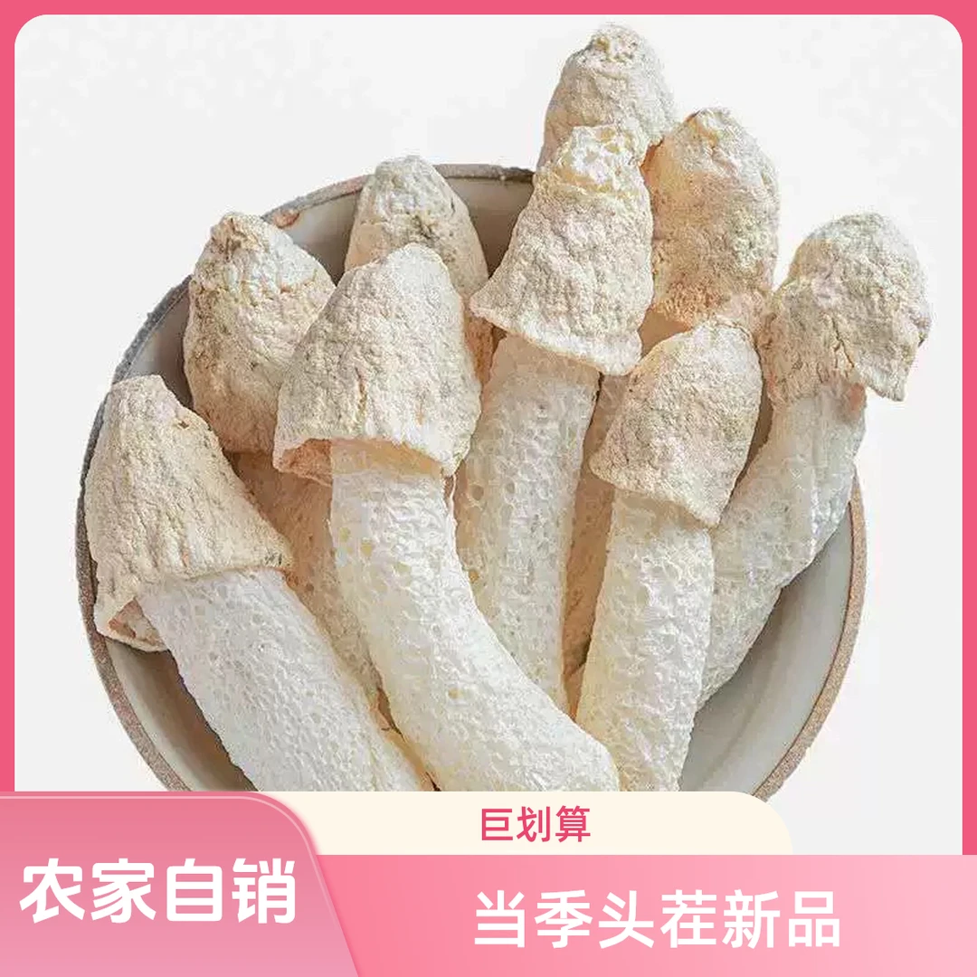 【农家竹荪】井冈山年25头茬新鲜干货未开裙嫩菇蕾短裙竹笙可煲汤
