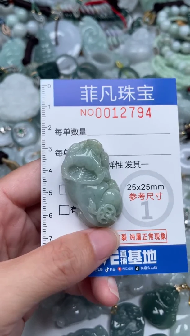 颈饰未镶嵌翡翠12794