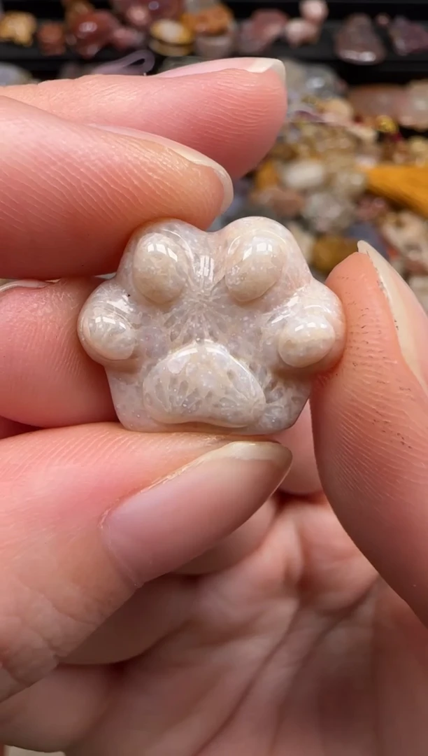 硅化珊瑚（珊瑚玉）未镶嵌颈饰044