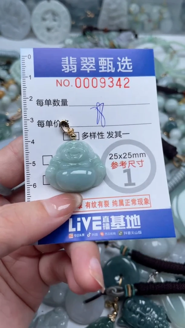 翡翠未镶嵌颈饰00..9342