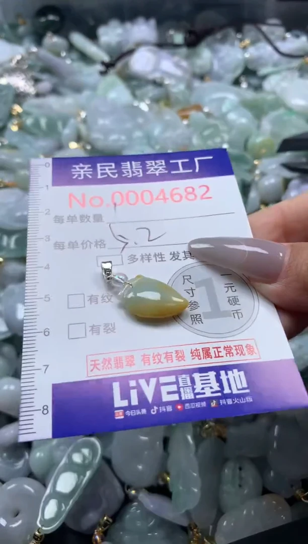 颈饰未镶嵌翡翠4682
