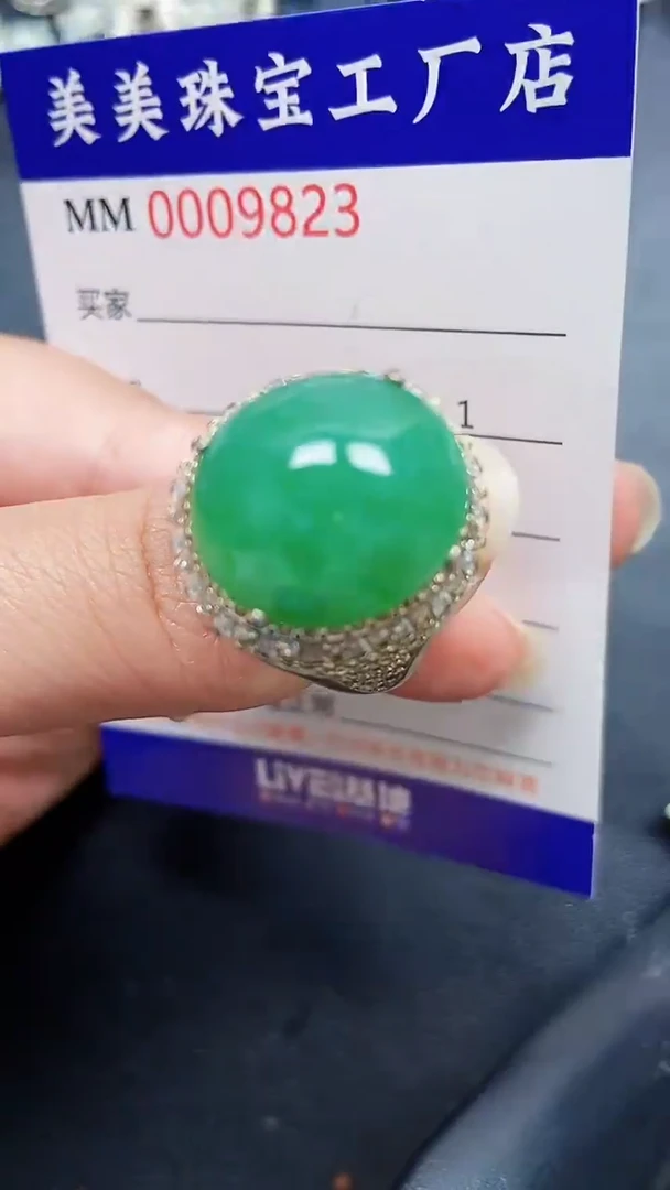 颈饰未镶嵌翡翠9823