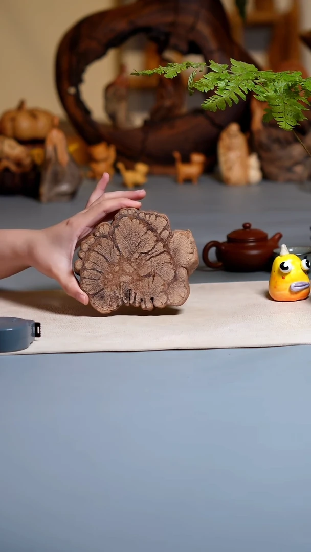 木九龙藤切片杯垫1316