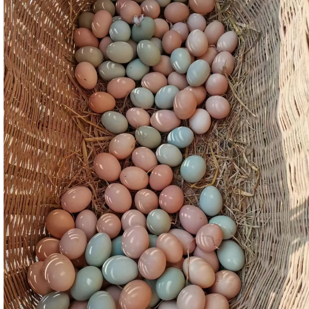 【阿浩专属】正宗高山土鸡蛋农家散养产地直发试吃三枚