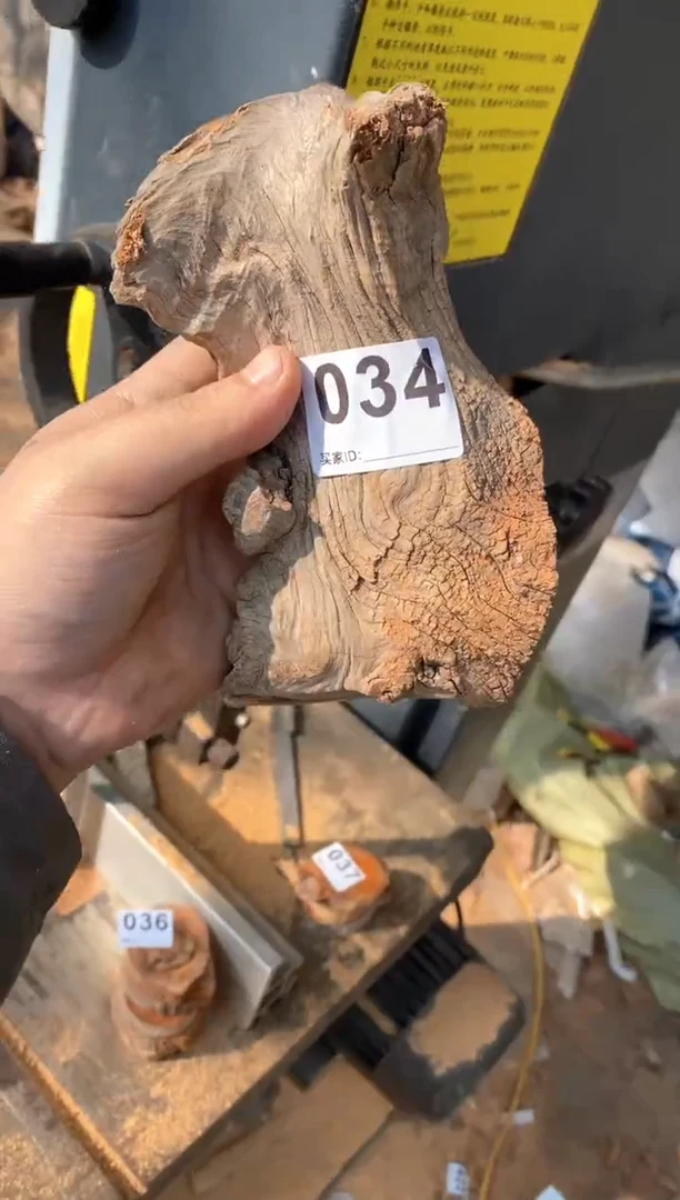 【闪购商品】柏木太行陈化崖柏（津诚林）切片
