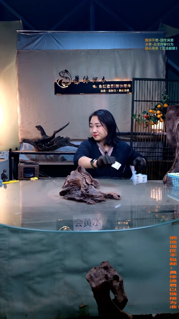摆件景沐沉木B134景沐沉木B134
