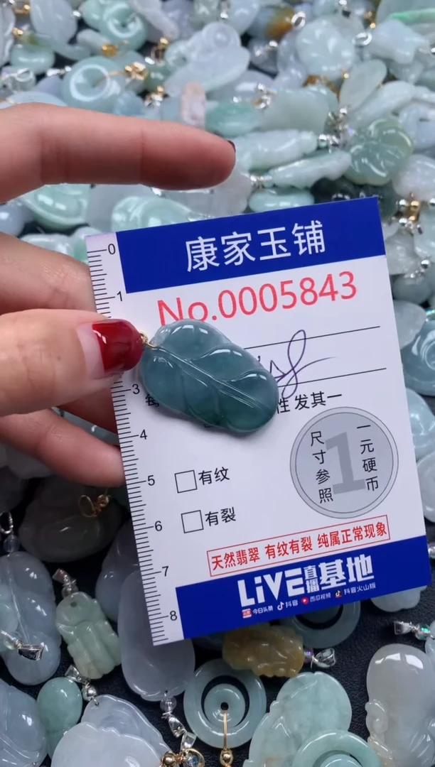 颈饰未镶嵌翡翠5843