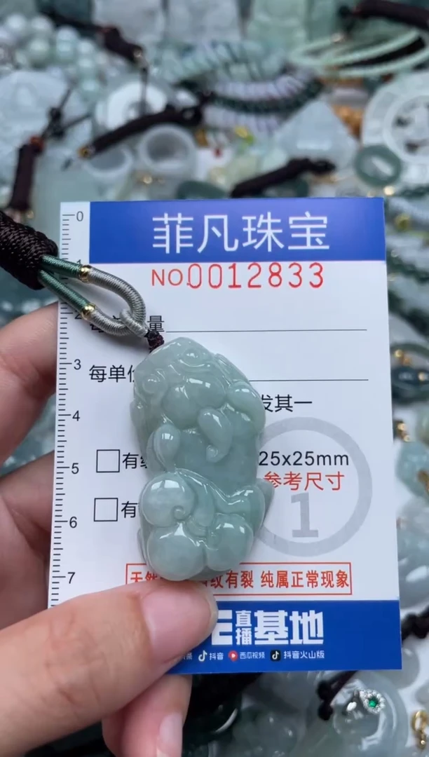 颈饰未镶嵌翡翠12833