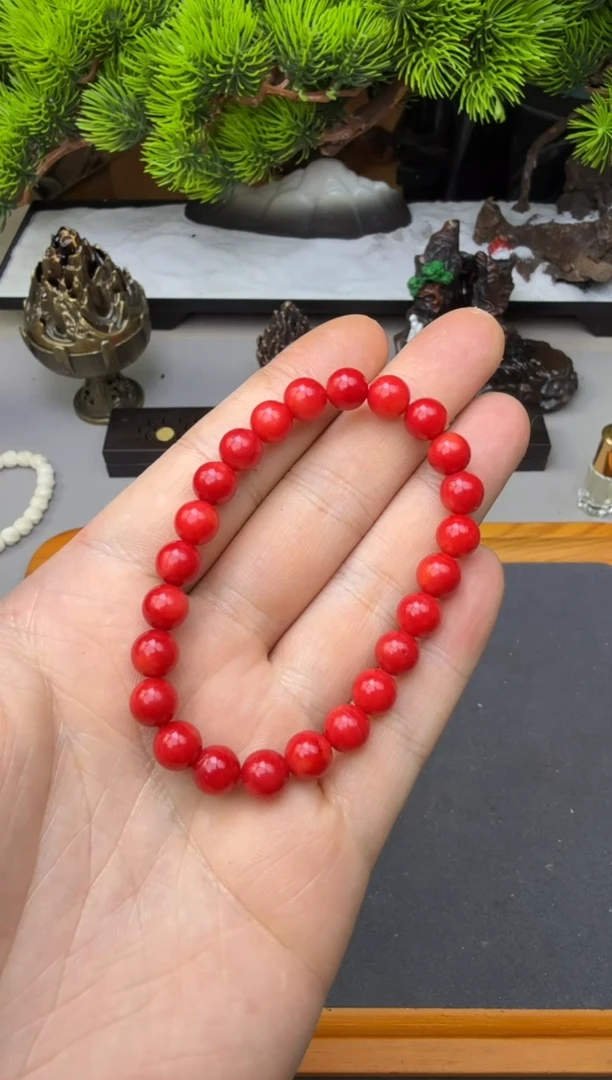 手串/手链贝壳红色贝壳8mm单圈