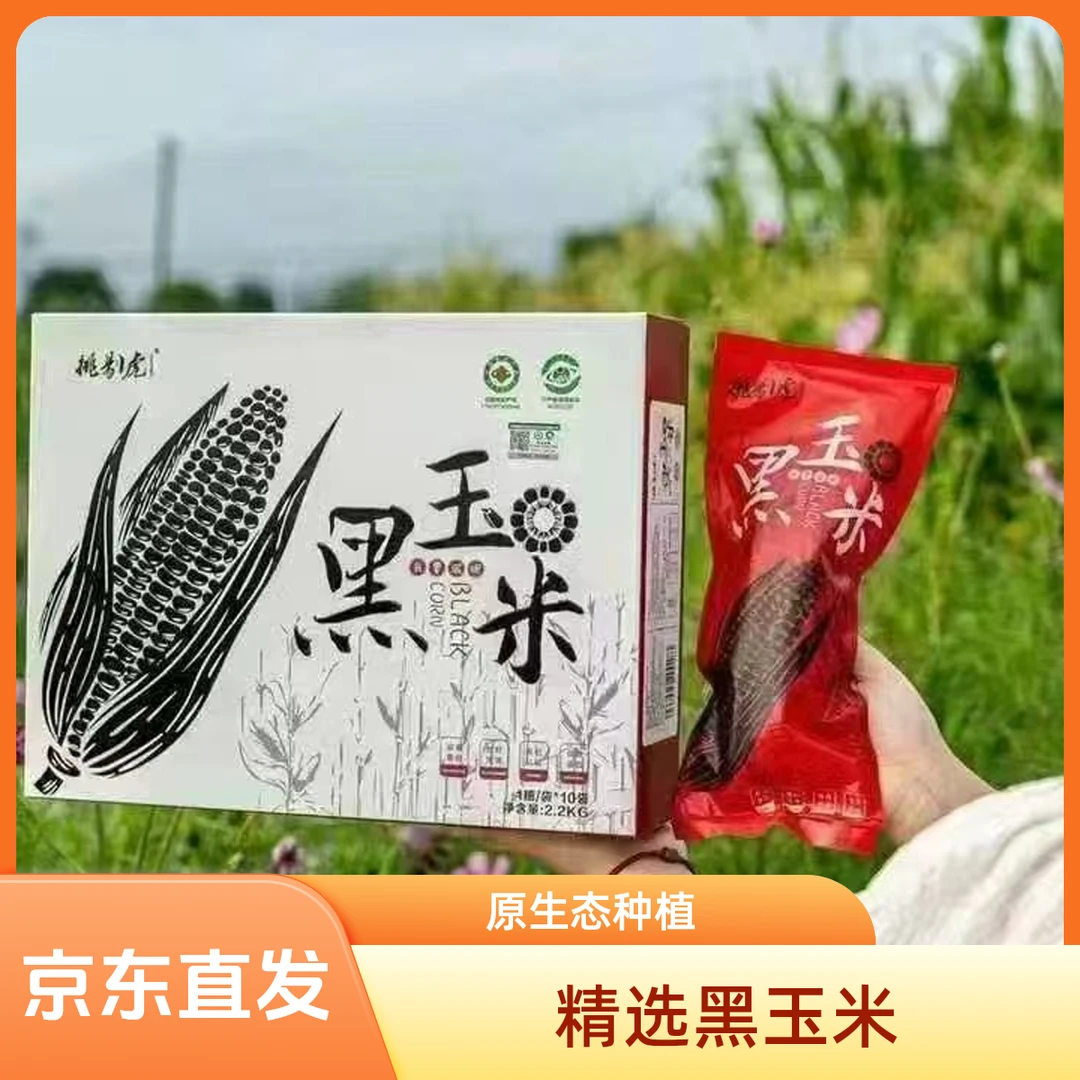 黑玉米软糯香甜（一箱10个2.2千克）新鲜黑糯玉米吉林省