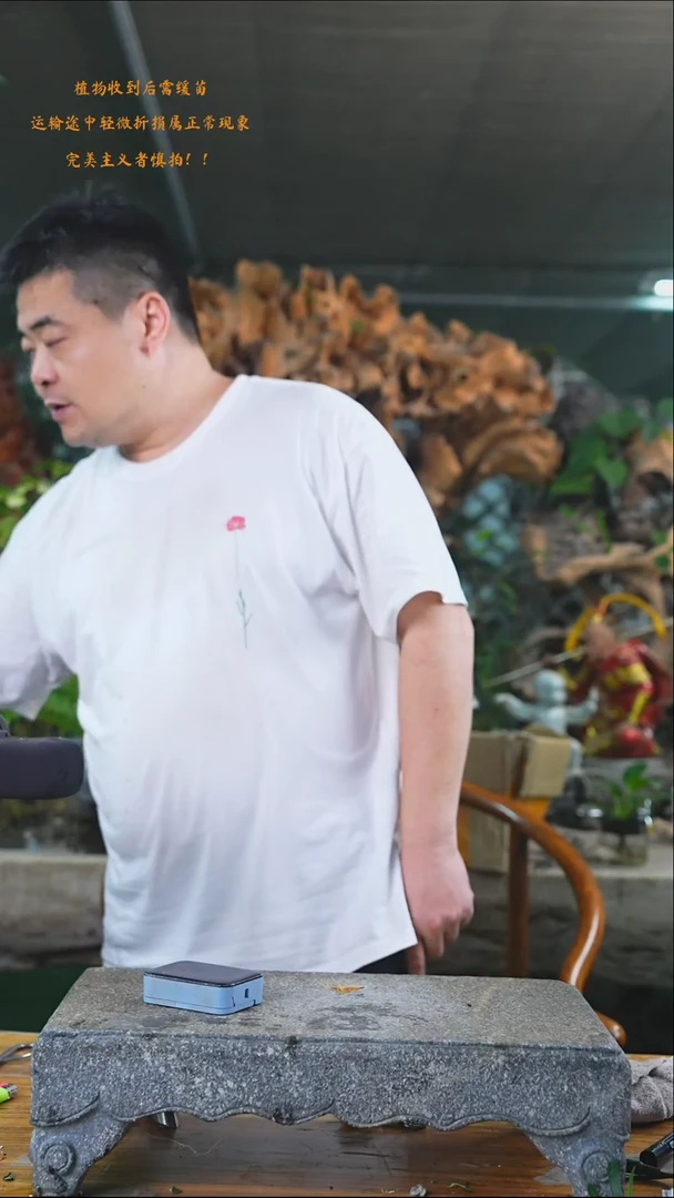 完全开放红钻272T