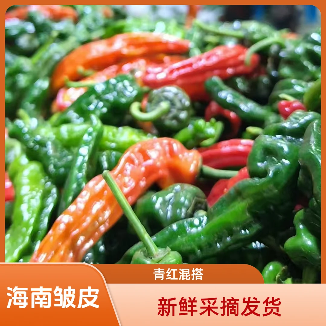 【品质保障】小邹皮新鲜采摘青红混搭辛特辣香辣椒批发原产地蔬菜