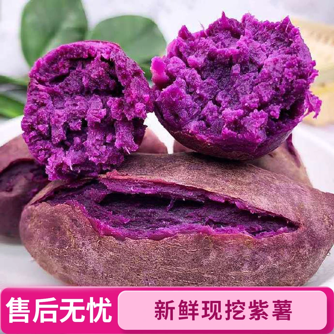 【专做精品】新鲜现挖沙地紫薯农产品香甜粉糯可做粗粮营养早餐