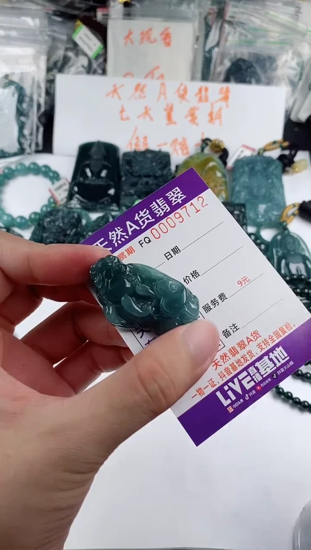 颈饰未镶嵌翡翠 多样性随机一件发货 貔貅38