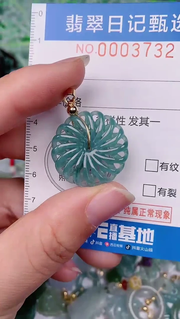 【闪购商品】翡翠颈饰未镶嵌00003732