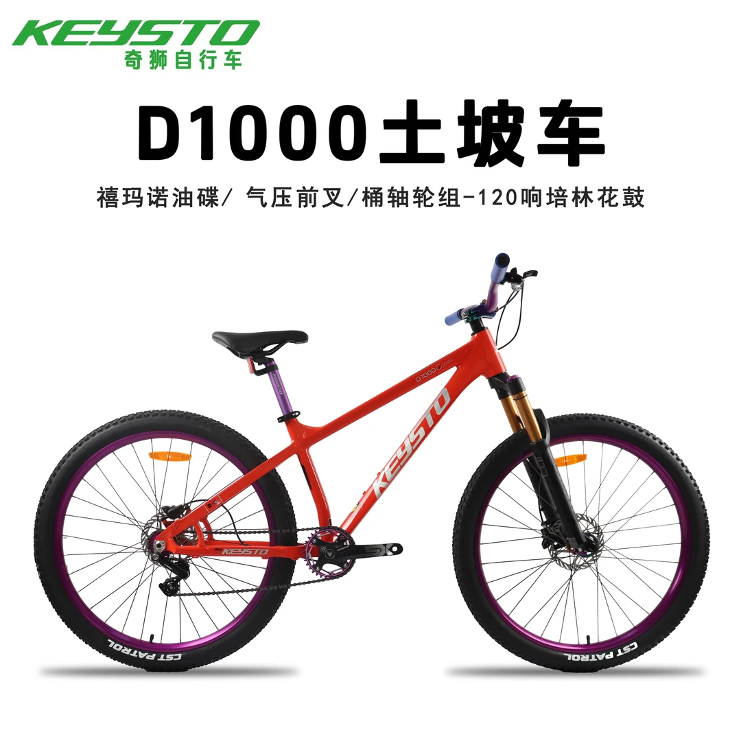 奇狮25款D1000土坡车单速青少年学生玩动作成人山地越野车