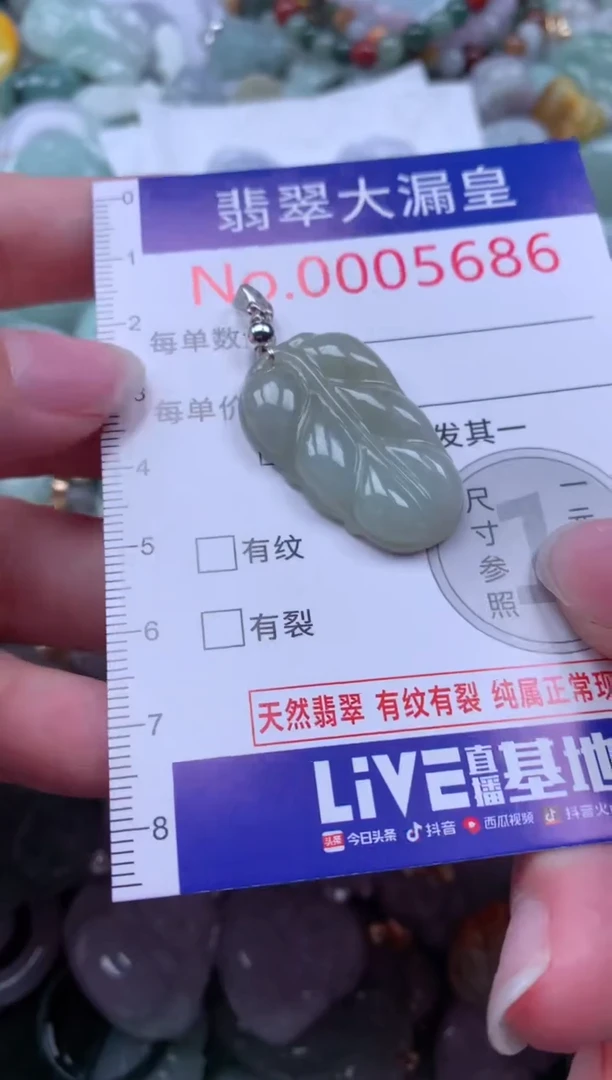 翡翠未镶嵌吊坠(不含链)5686