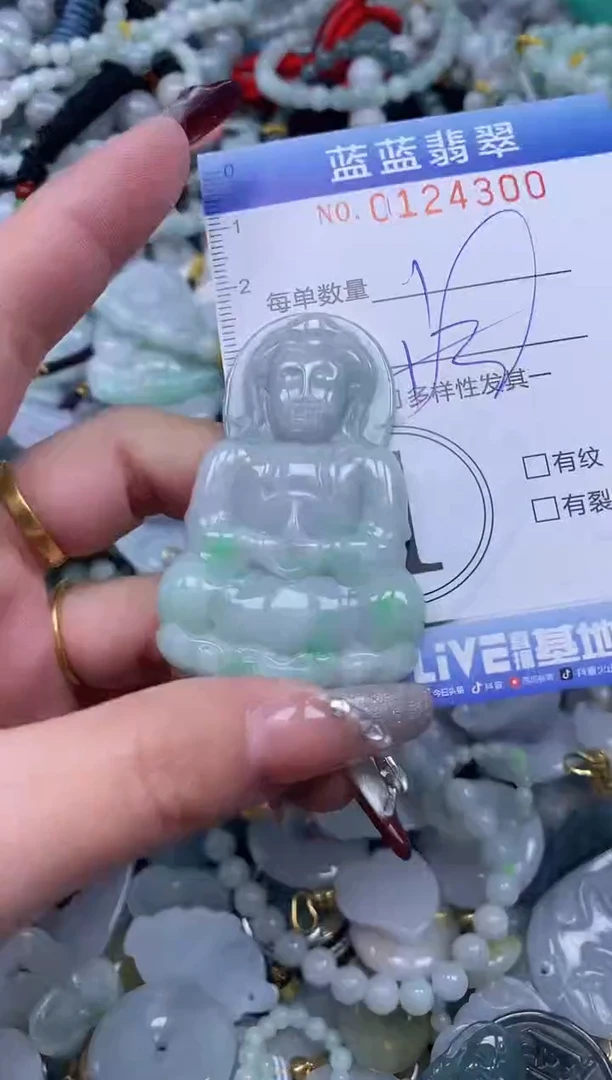 【闪购商品】翡翠颈饰未镶嵌闪购0124300多样性发其一